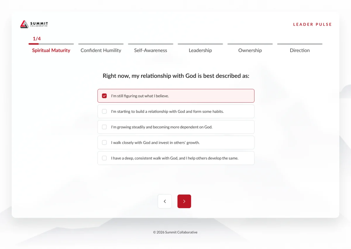 Assessment questionnaire preview