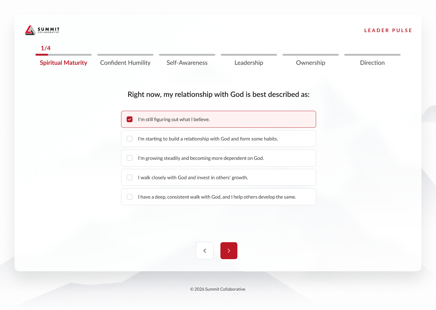 Assessment questionnaire preview